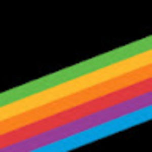 Meet your Posher, Kyra